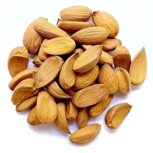 Mamra badam